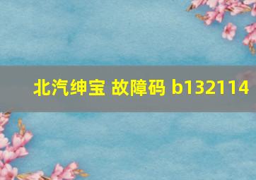 北汽绅宝 故障码 b132114